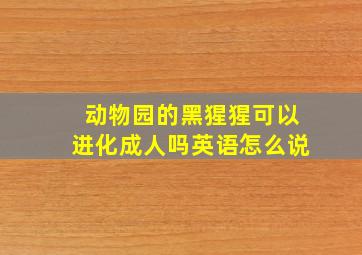 动物园的黑猩猩可以进化成人吗英语怎么说