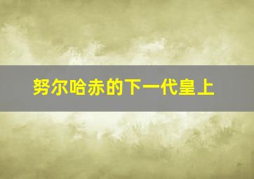 努尔哈赤的下一代皇上