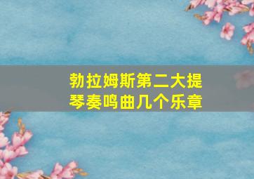 勃拉姆斯第二大提琴奏鸣曲几个乐章