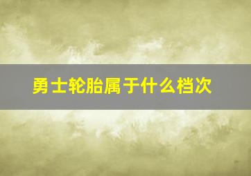 勇士轮胎属于什么档次