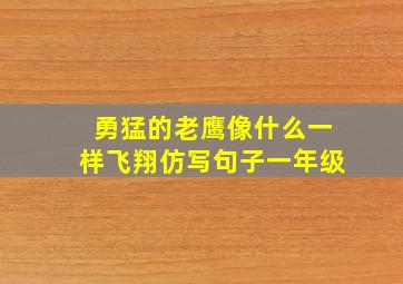 勇猛的老鹰像什么一样飞翔仿写句子一年级