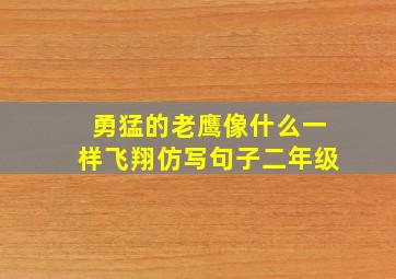 勇猛的老鹰像什么一样飞翔仿写句子二年级