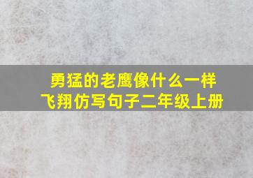 勇猛的老鹰像什么一样飞翔仿写句子二年级上册