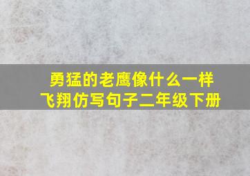 勇猛的老鹰像什么一样飞翔仿写句子二年级下册