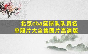 北京cba篮球队队员名单照片大全集图片高清版