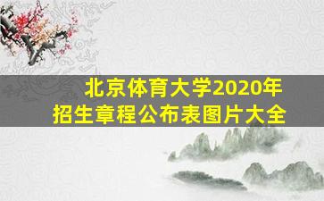 北京体育大学2020年招生章程公布表图片大全