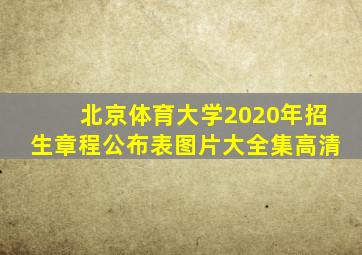 北京体育大学2020年招生章程公布表图片大全集高清