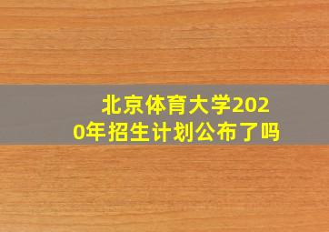 北京体育大学2020年招生计划公布了吗