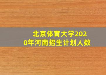 北京体育大学2020年河南招生计划人数