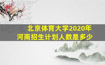 北京体育大学2020年河南招生计划人数是多少