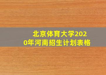 北京体育大学2020年河南招生计划表格