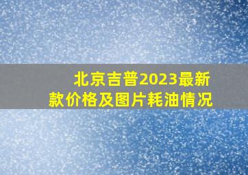 北京吉普2023最新款价格及图片耗油情况