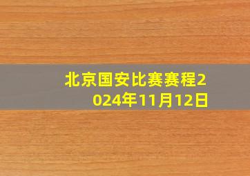 北京国安比赛赛程2024年11月12日