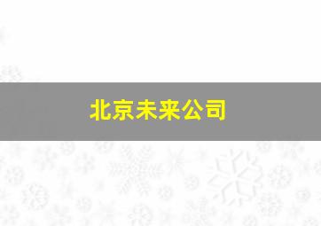 北京未来公司