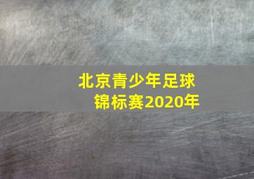 北京青少年足球锦标赛2020年