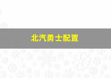 北汽勇士配置