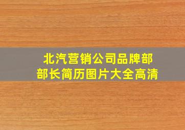 北汽营销公司品牌部部长简历图片大全高清