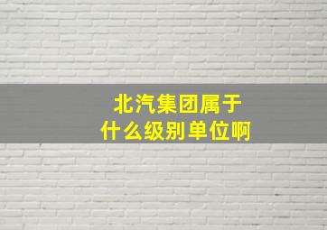 北汽集团属于什么级别单位啊