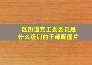 区街道党工委委员是什么级别的干部呢图片