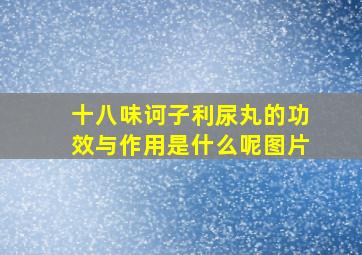 十八味诃子利尿丸的功效与作用是什么呢图片