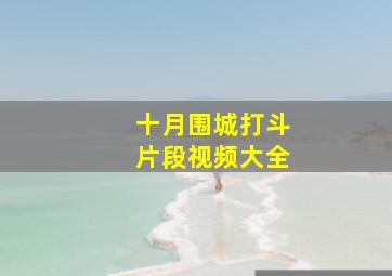 十月围城打斗片段视频大全