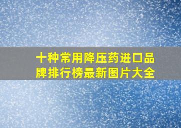 十种常用降压药进口品牌排行榜最新图片大全