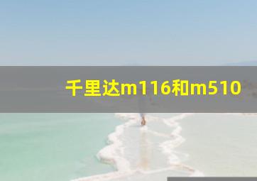 千里达m116和m510