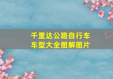 千里达公路自行车车型大全图解图片