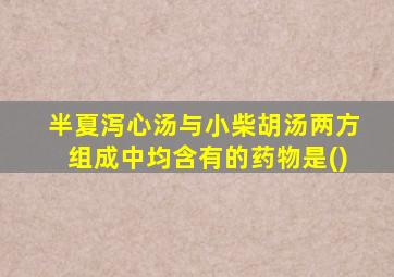 半夏泻心汤与小柴胡汤两方组成中均含有的药物是()