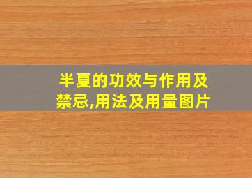 半夏的功效与作用及禁忌,用法及用量图片