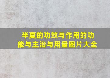 半夏的功效与作用的功能与主治与用量图片大全