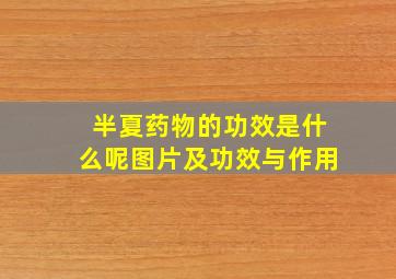 半夏药物的功效是什么呢图片及功效与作用