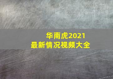 华南虎2021最新情况视频大全