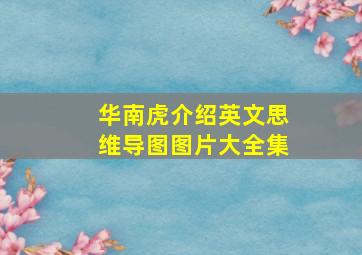 华南虎介绍英文思维导图图片大全集