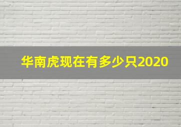 华南虎现在有多少只2020