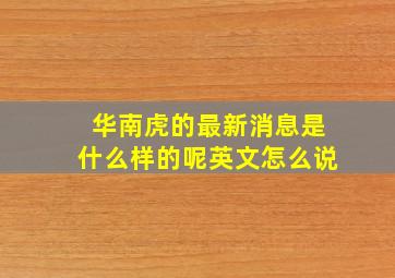 华南虎的最新消息是什么样的呢英文怎么说