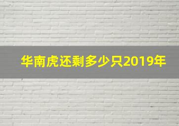 华南虎还剩多少只2019年