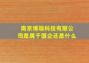 南京博瑞科技有限公司是属于国企还是什么