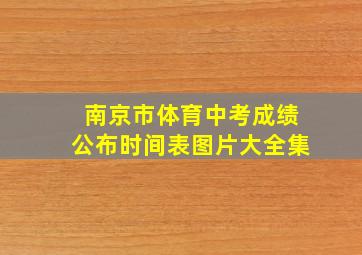 南京市体育中考成绩公布时间表图片大全集