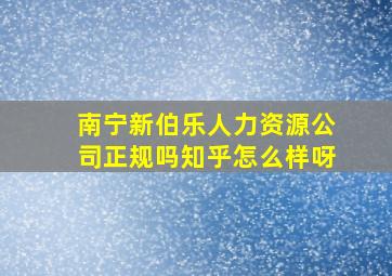 南宁新伯乐人力资源公司正规吗知乎怎么样呀