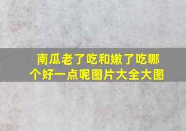 南瓜老了吃和嫩了吃哪个好一点呢图片大全大图