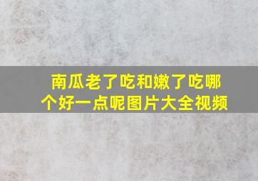 南瓜老了吃和嫩了吃哪个好一点呢图片大全视频