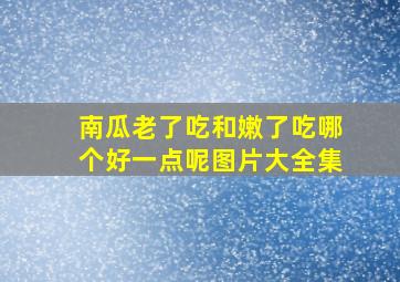 南瓜老了吃和嫩了吃哪个好一点呢图片大全集