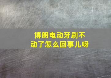 博朗电动牙刷不动了怎么回事儿呀