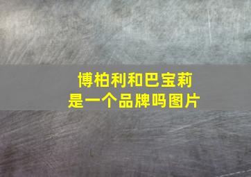 博柏利和巴宝莉是一个品牌吗图片