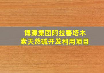 博源集团阿拉善塔木素天然碱开发利用项目