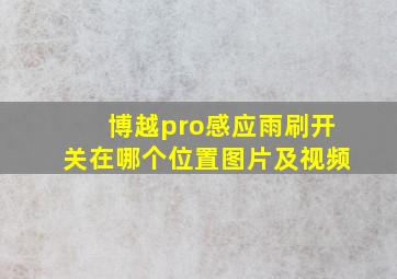 博越pro感应雨刷开关在哪个位置图片及视频