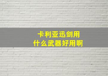 卡利亚迅剑用什么武器好用啊