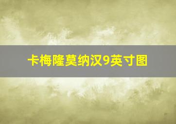 卡梅隆莫纳汉9英寸图