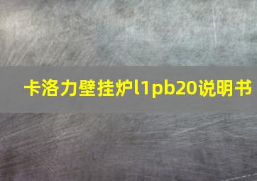 卡洛力壁挂炉l1pb20说明书